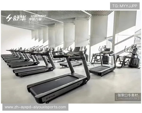 深圳地区哪里可以买到优质健身器材？购物指南